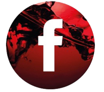 logo-social-fb-mizzon