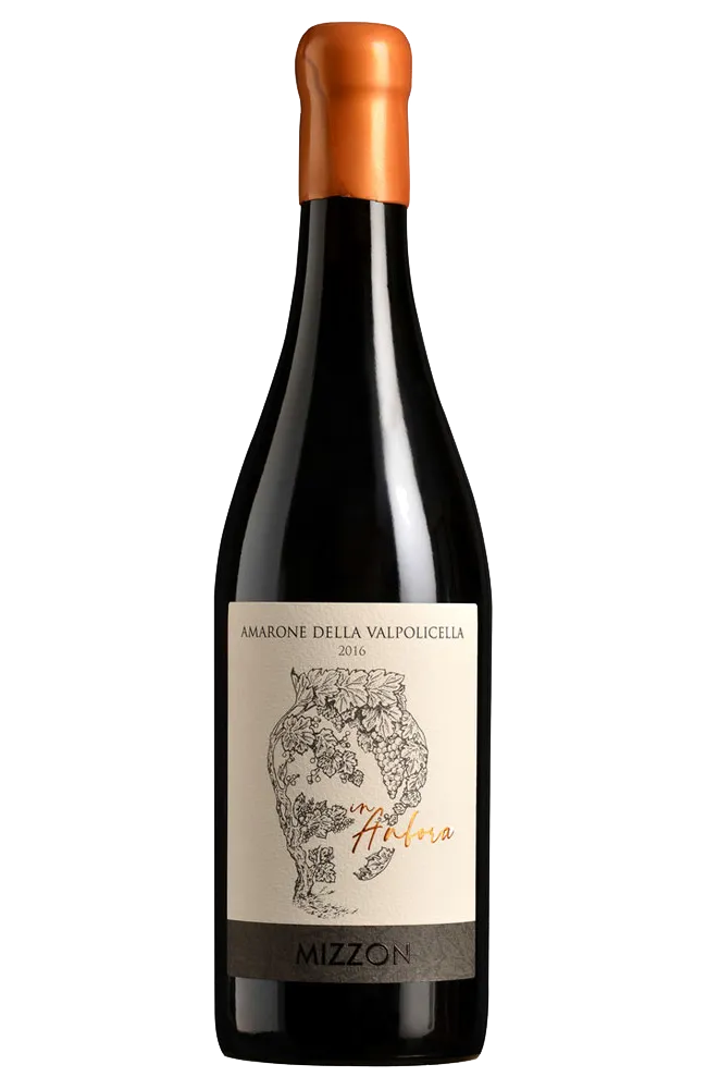 Amarone della Valpolicella DOCG Classico in Anfora, Cantina Mizzon. Amarone in Anfora