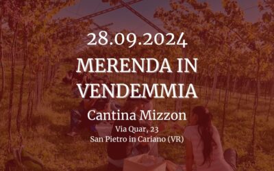 Merenda in Vendemmia