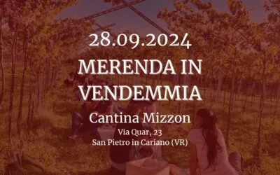 Merenda in Vendemmia