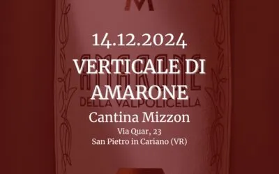 Verticale di Amarone: scopri l’eccellenza di Cantina Mizzon