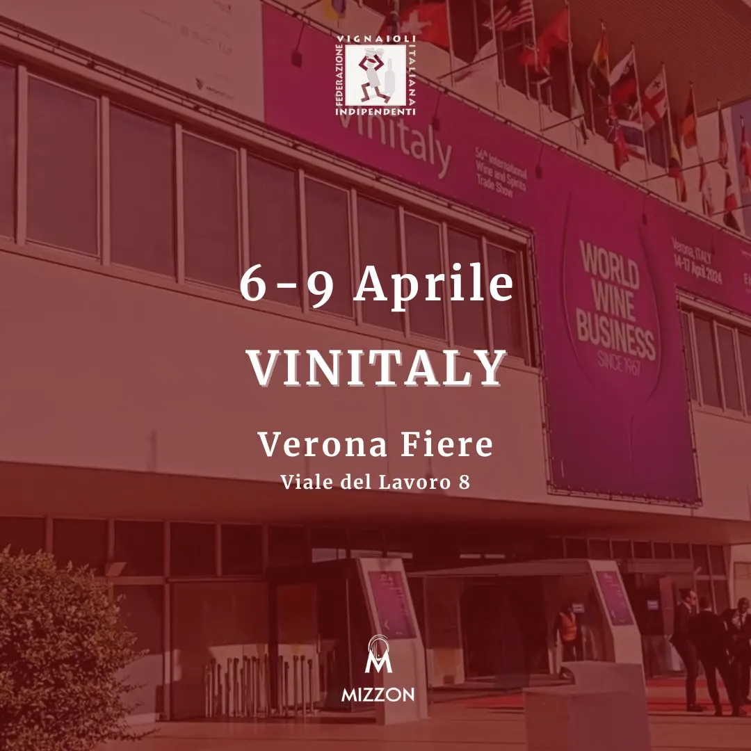 Vinitaly, Cantina Mizzon, Vini in Anfora, Valpolicella, Amarone della Valpolicella, Recioto